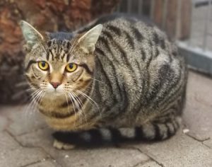 Max-Zur Probe vermittelt!